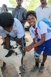 beneficiary receiving goat 1.JPG