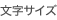 �����T�C�Y